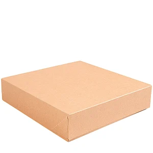 Caixa em Cartão Ondulado 23 x 23 x 5 cm para Sushi