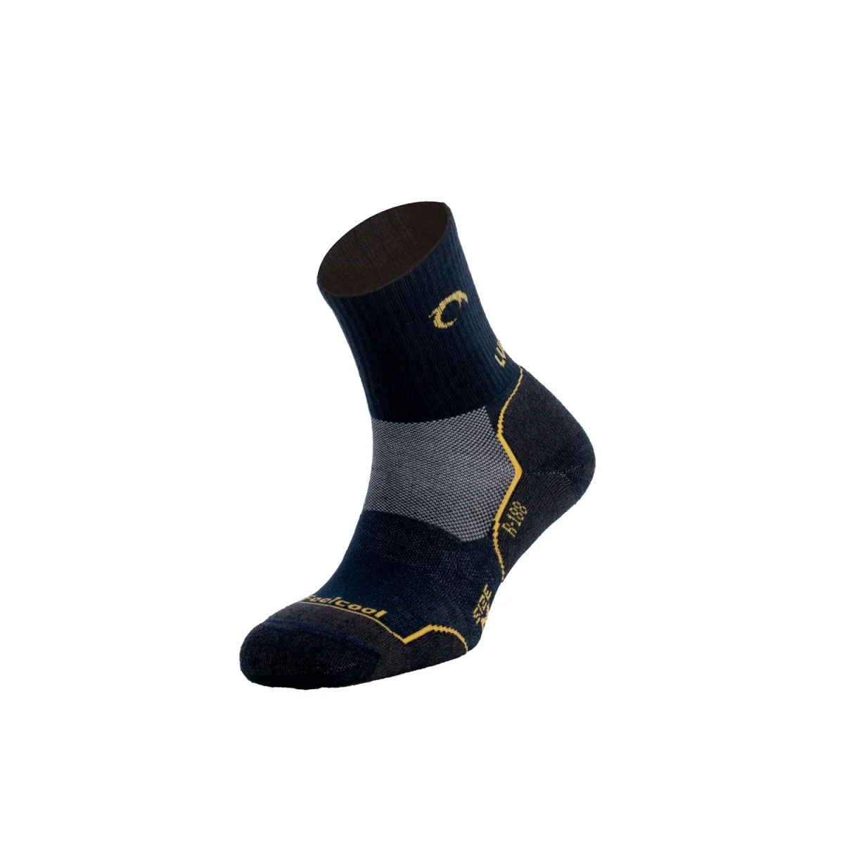 Camino Four - Image 2